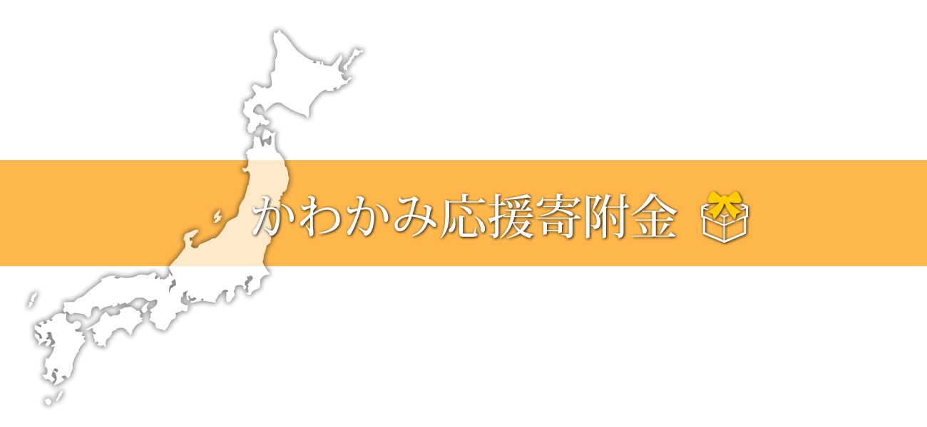 かわかみ応援寄附金