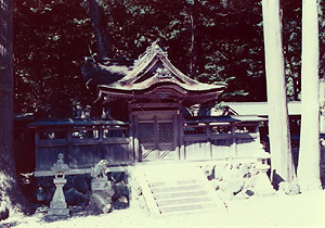 神社に行かなくちゃ！2/その他小物 十二社神社社そう | 奈良県川上村