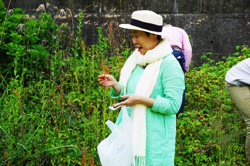 野イチゴつみ２