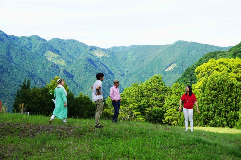 とりい家にコイヤー１