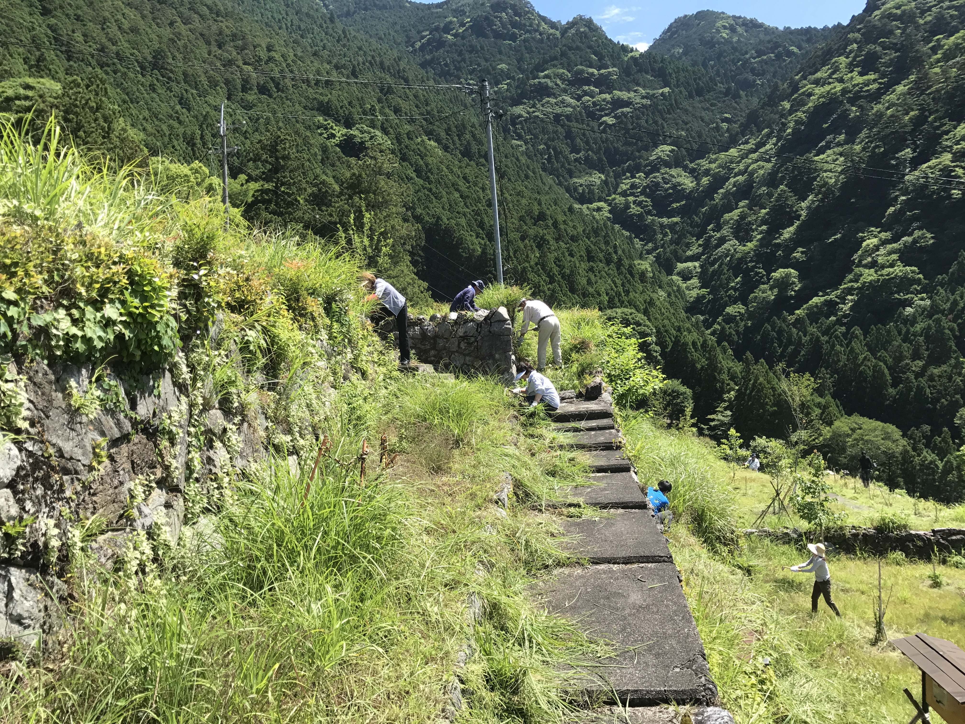 作業中１