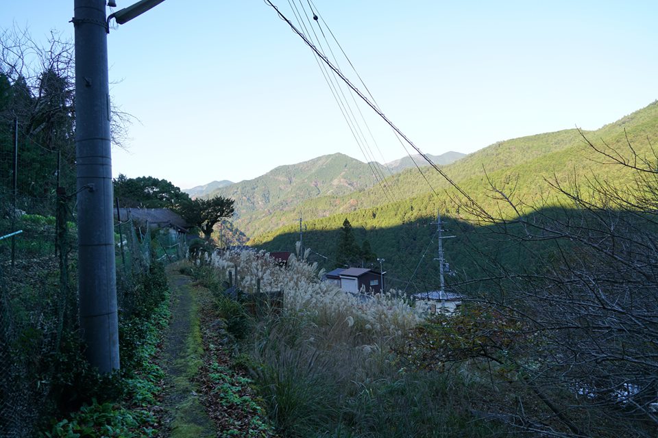 oda06.jpg oda06.jpg
