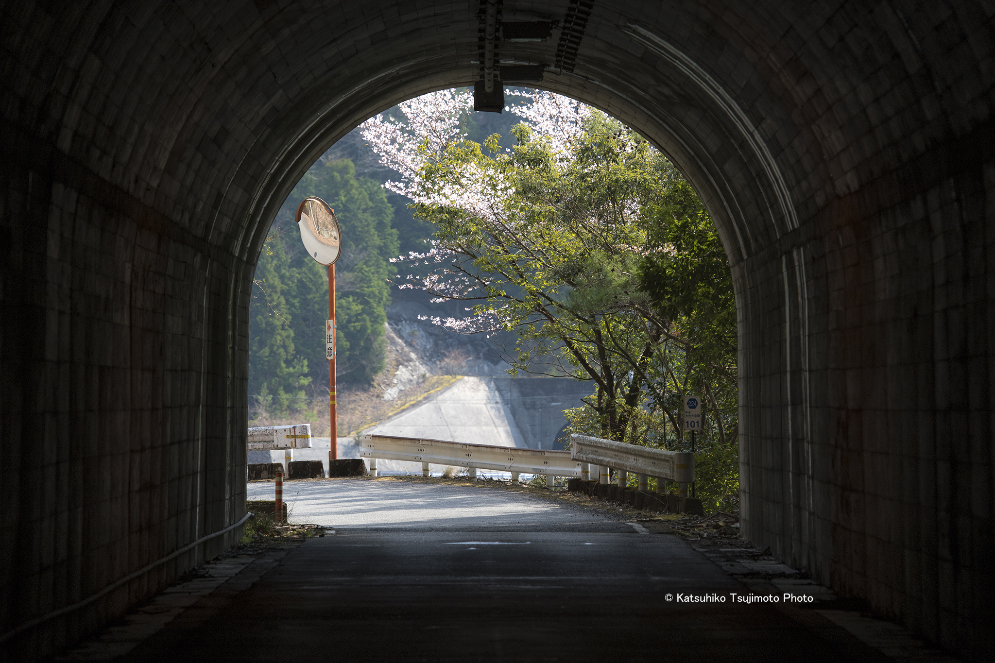 2018032801.jpg 2018032801.jpg