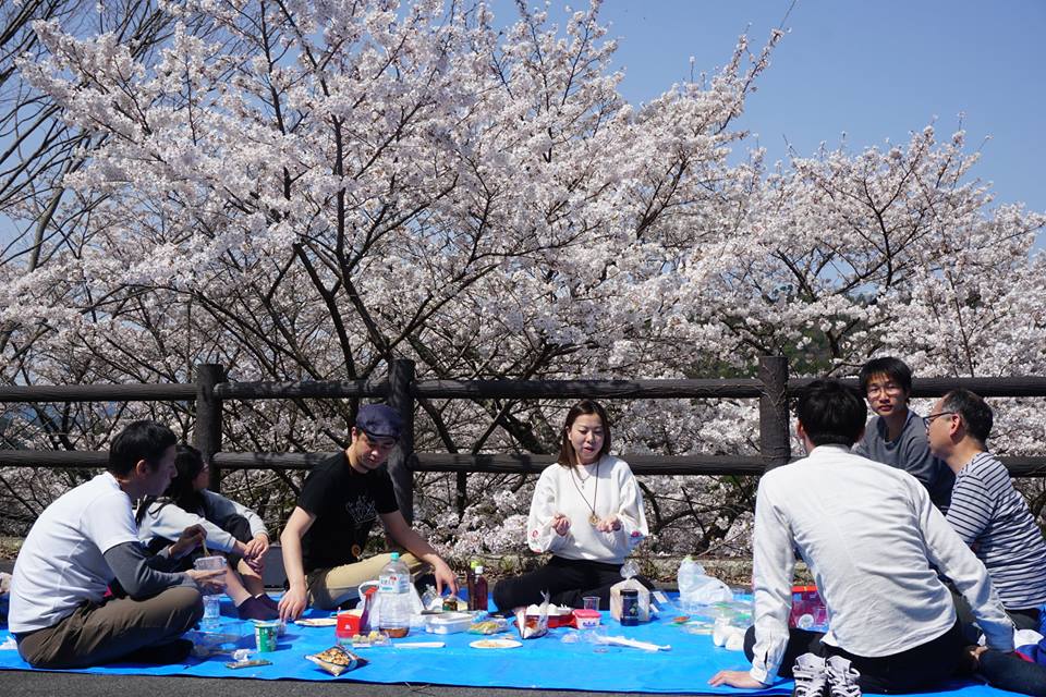 koiya20180331_07.jpg