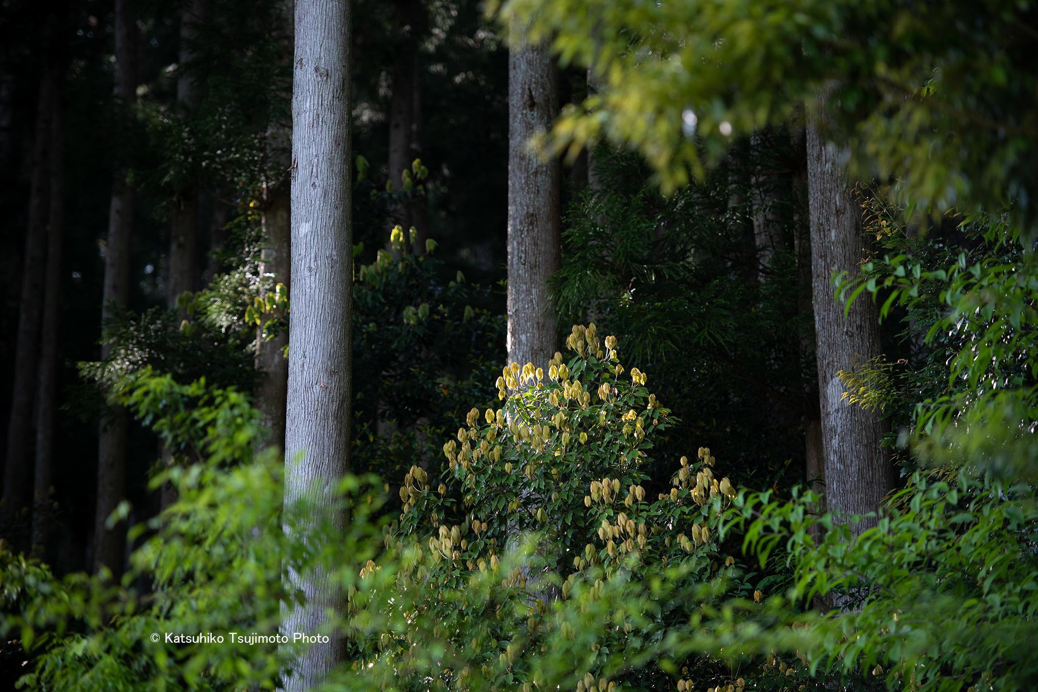 2018051301.jpg