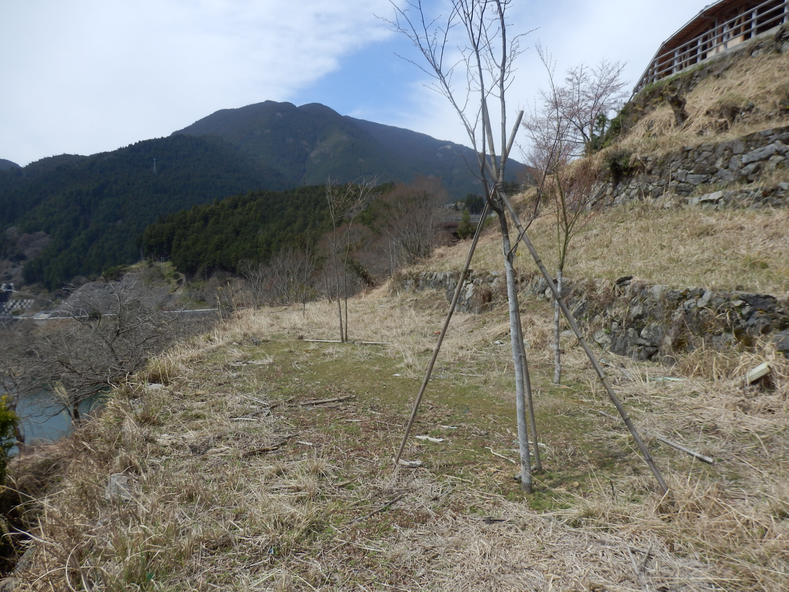 P4050002.JPG