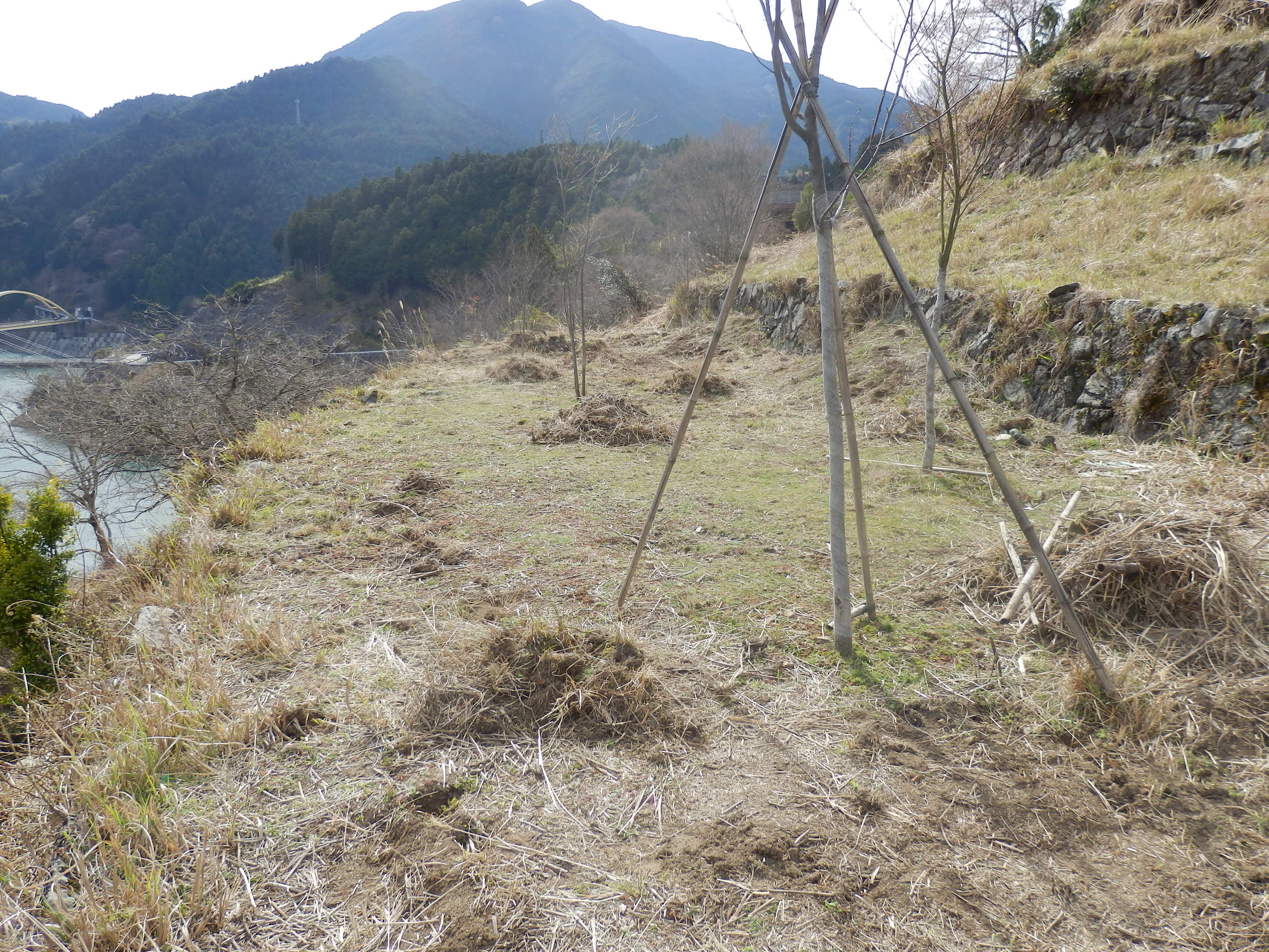 P4050047.JPG