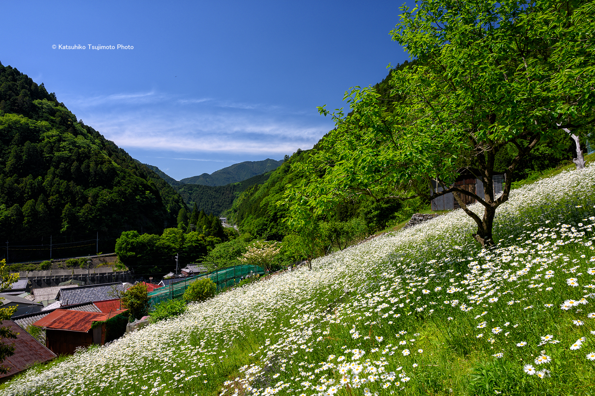 201905301.jpg