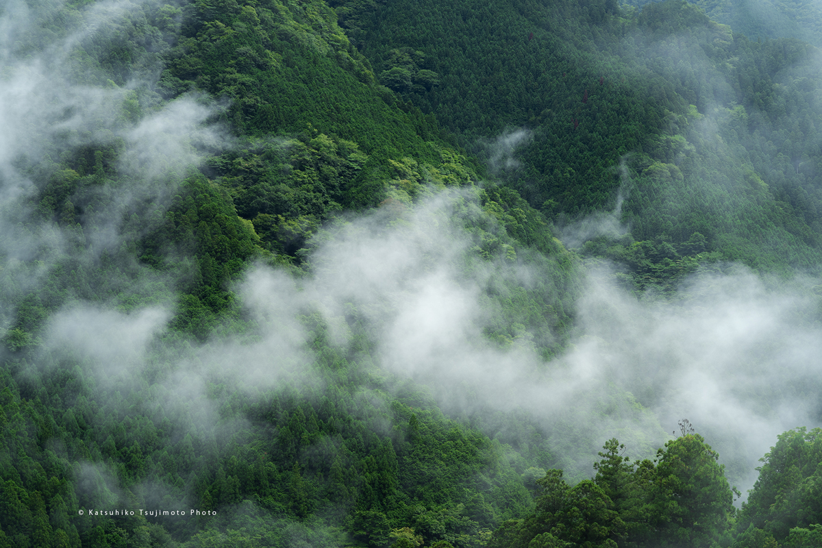 20210825-2.jpg 20210825-2.jpg