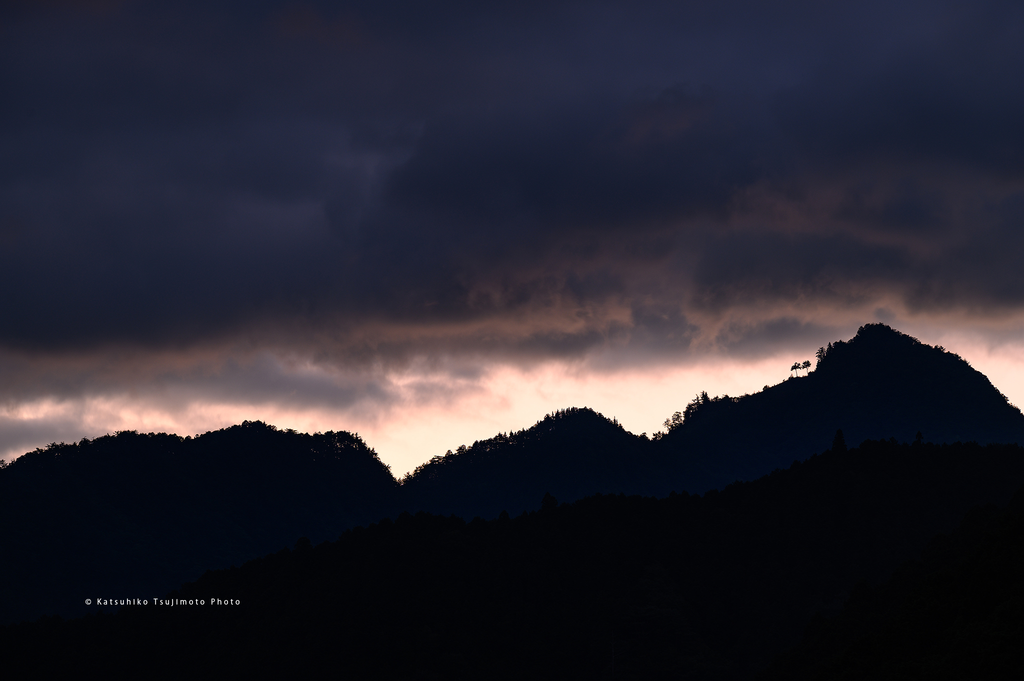 20210831.jpg 20210831.jpg