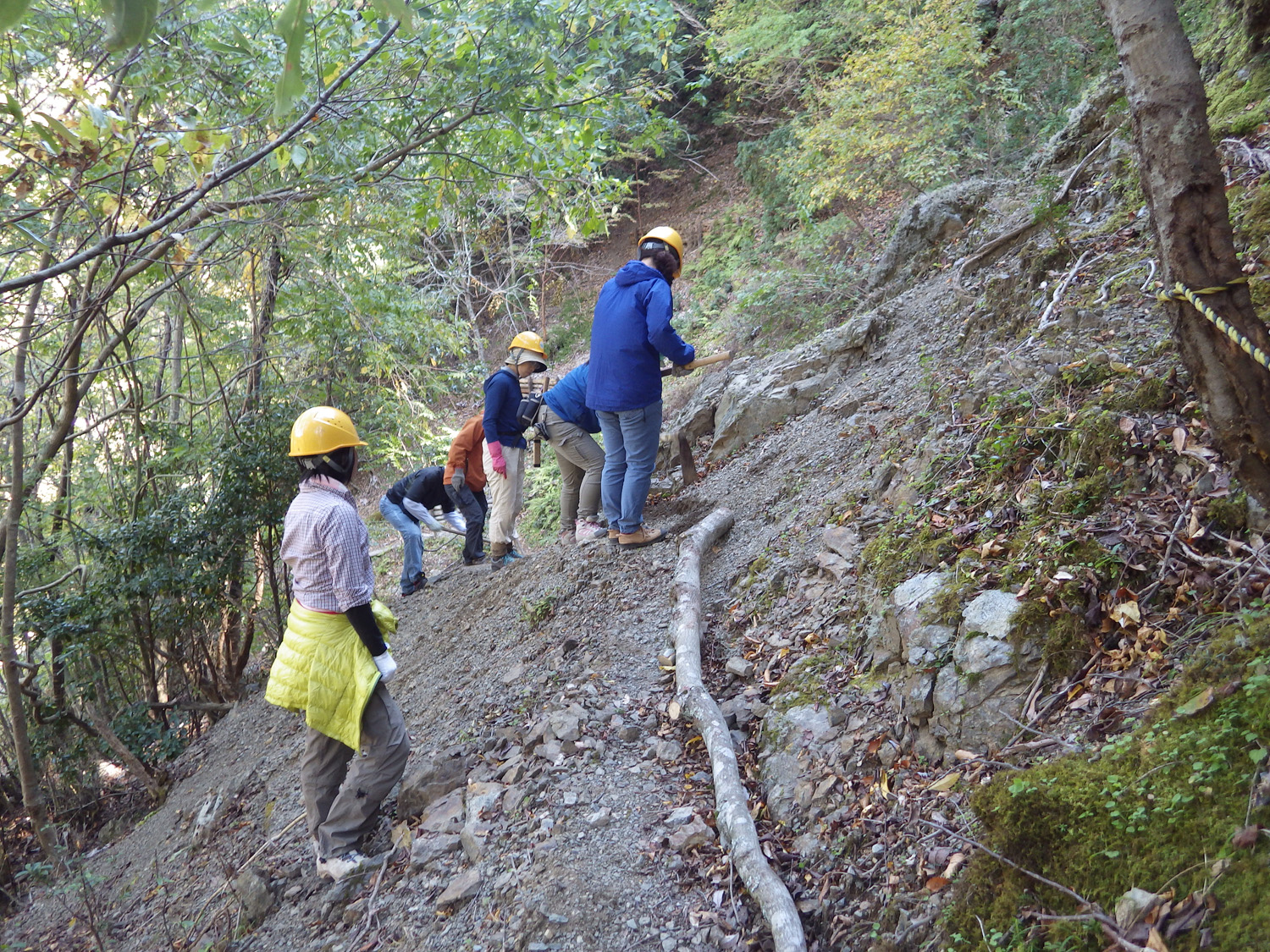 森づくり (1).JPG