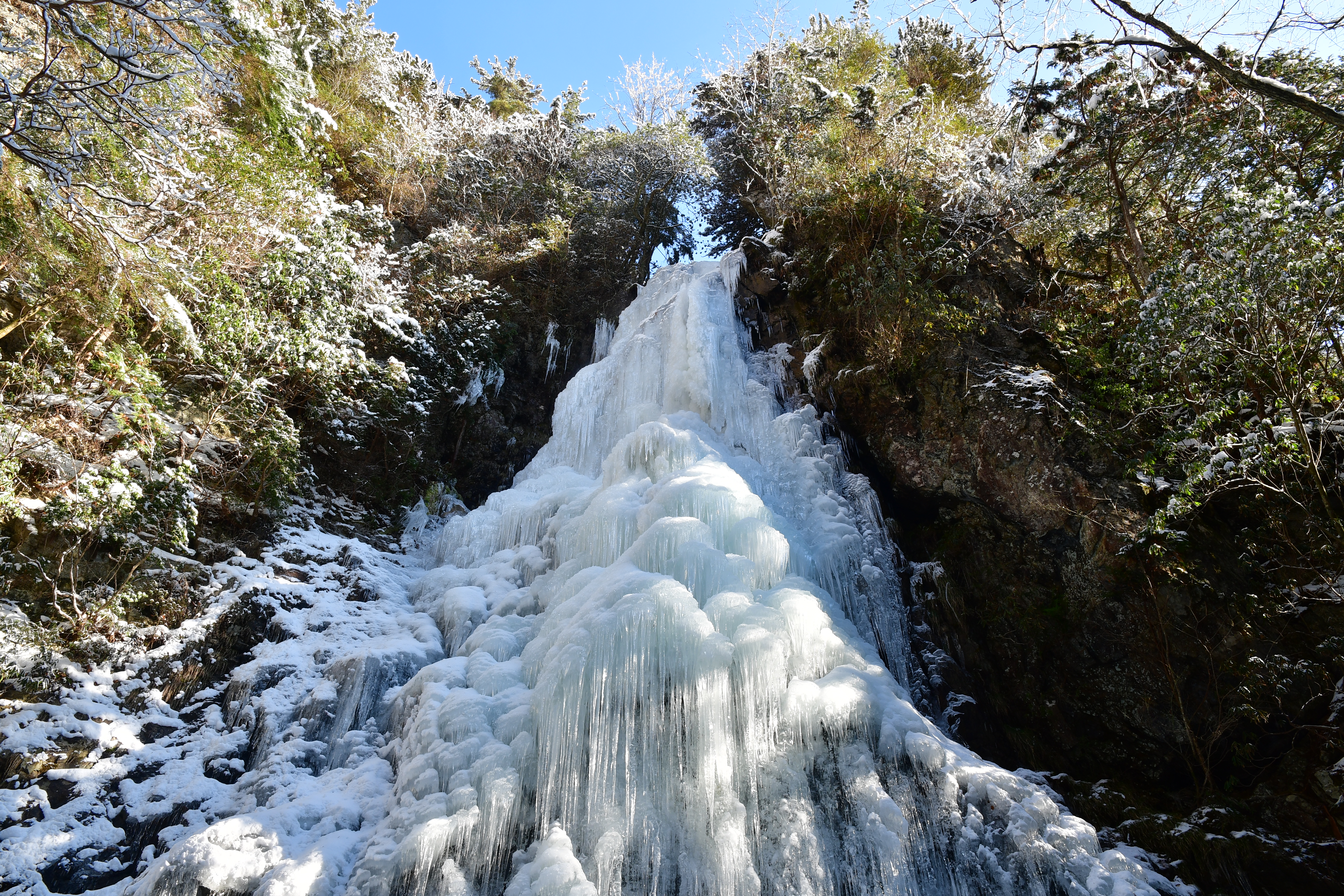 DSC_1082.JPG