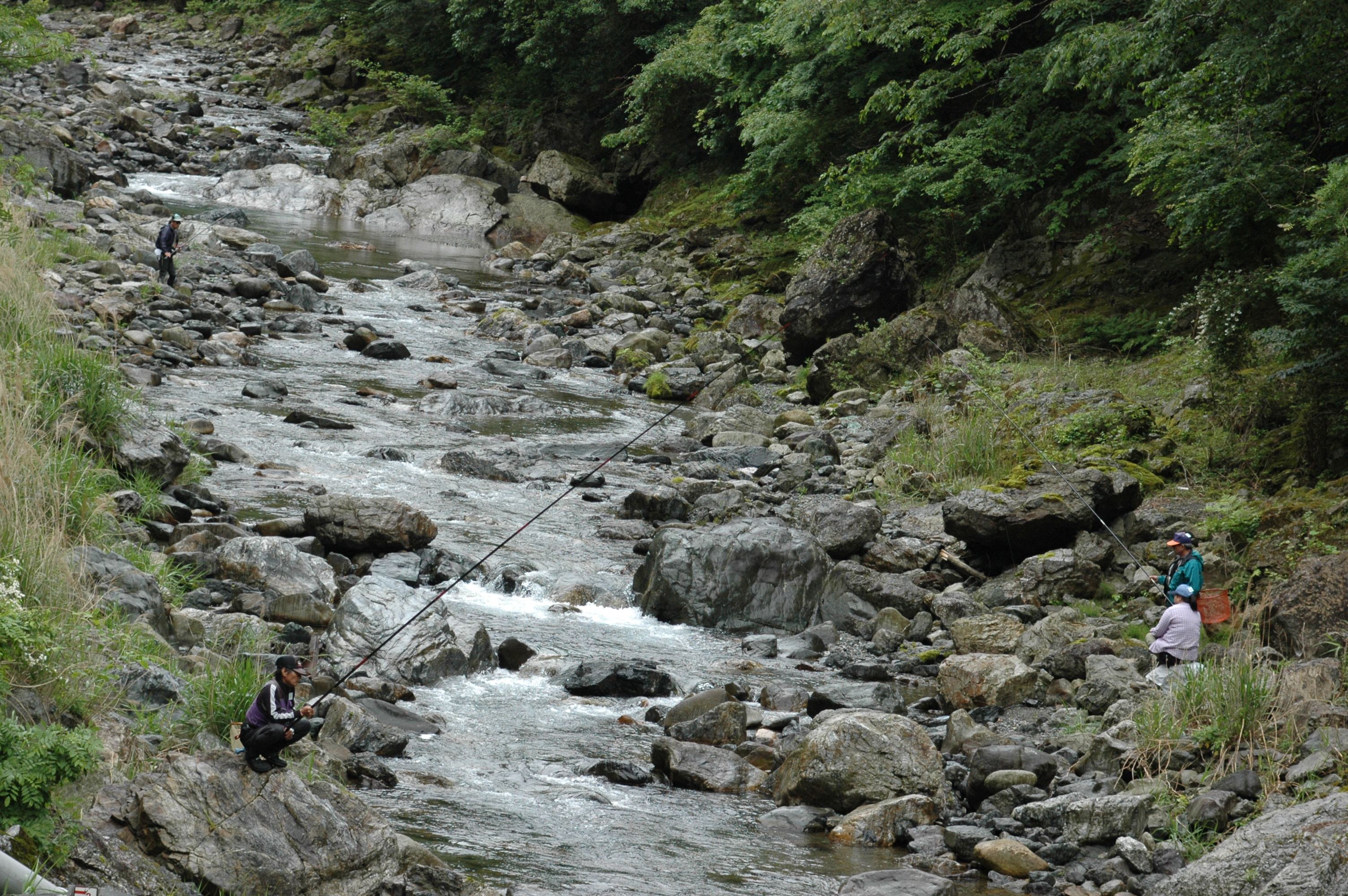 DSC_1785.JPG