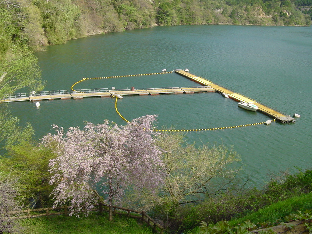 白川渡キャンプ場