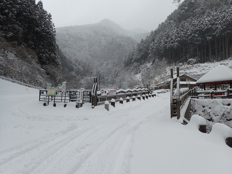 井氷鹿の里　雪