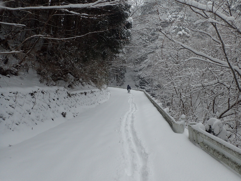 雪道