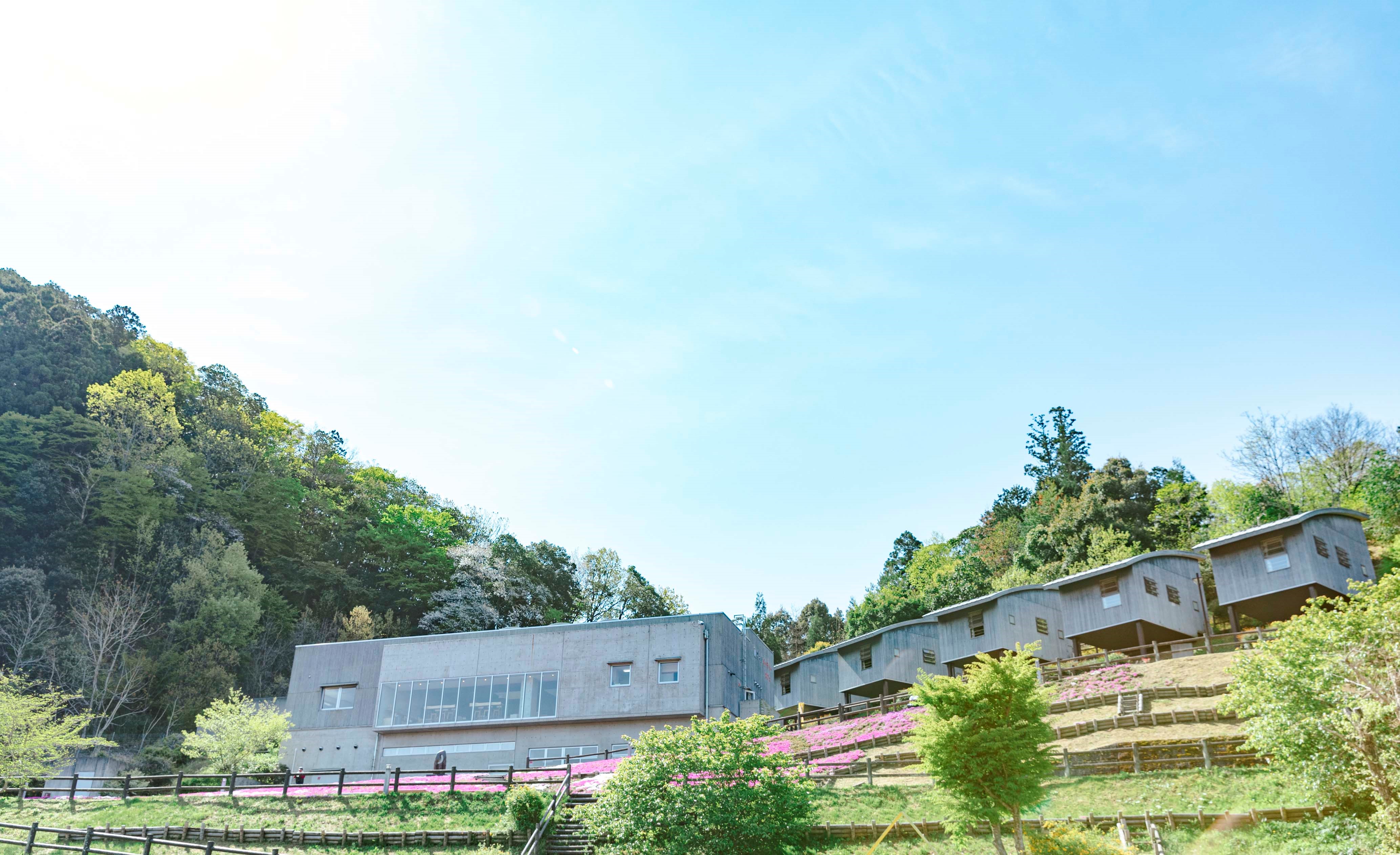 七夕燈籠祭