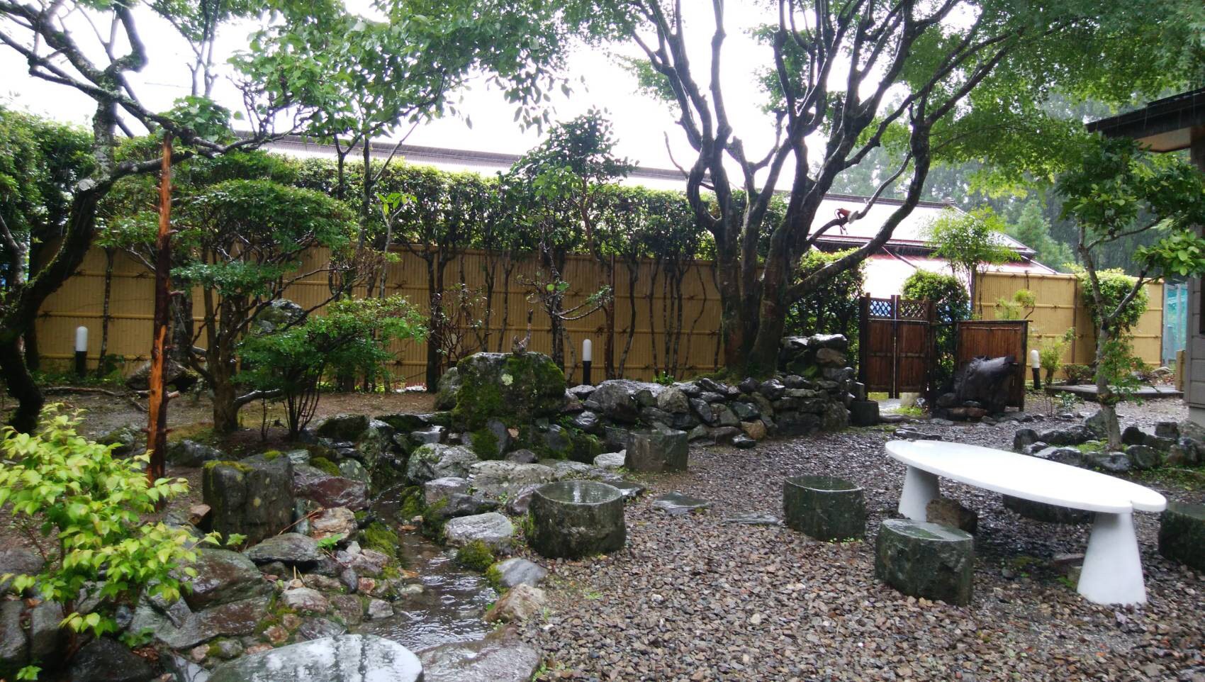 image1.jpeg