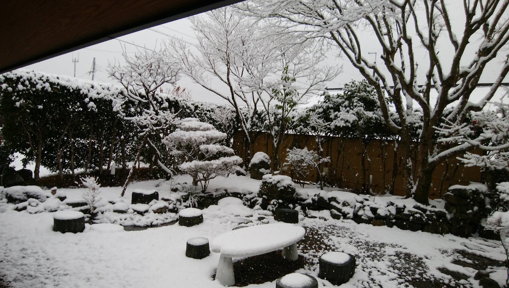 image9.jpeg