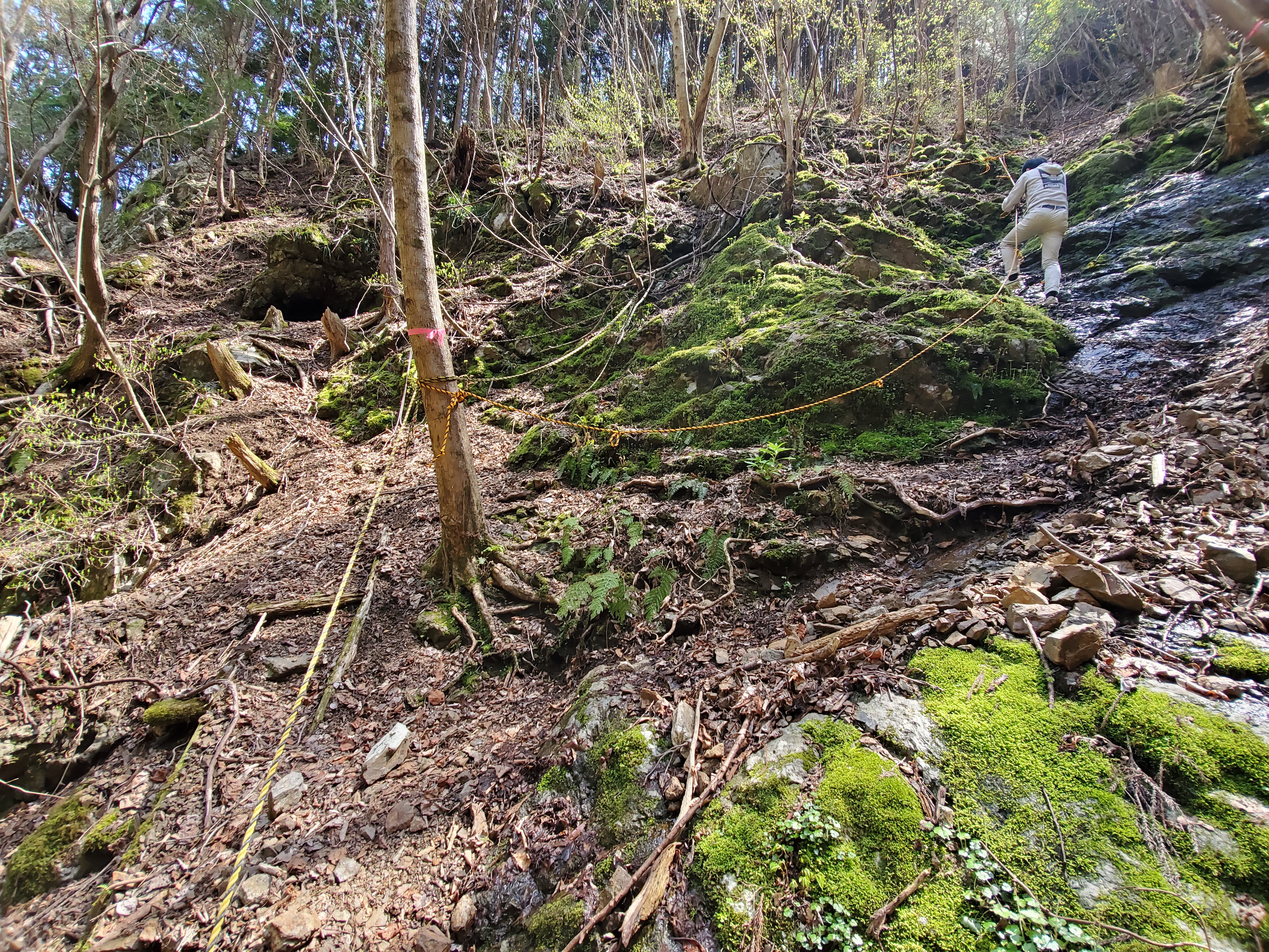 20210409_110139.jpg
