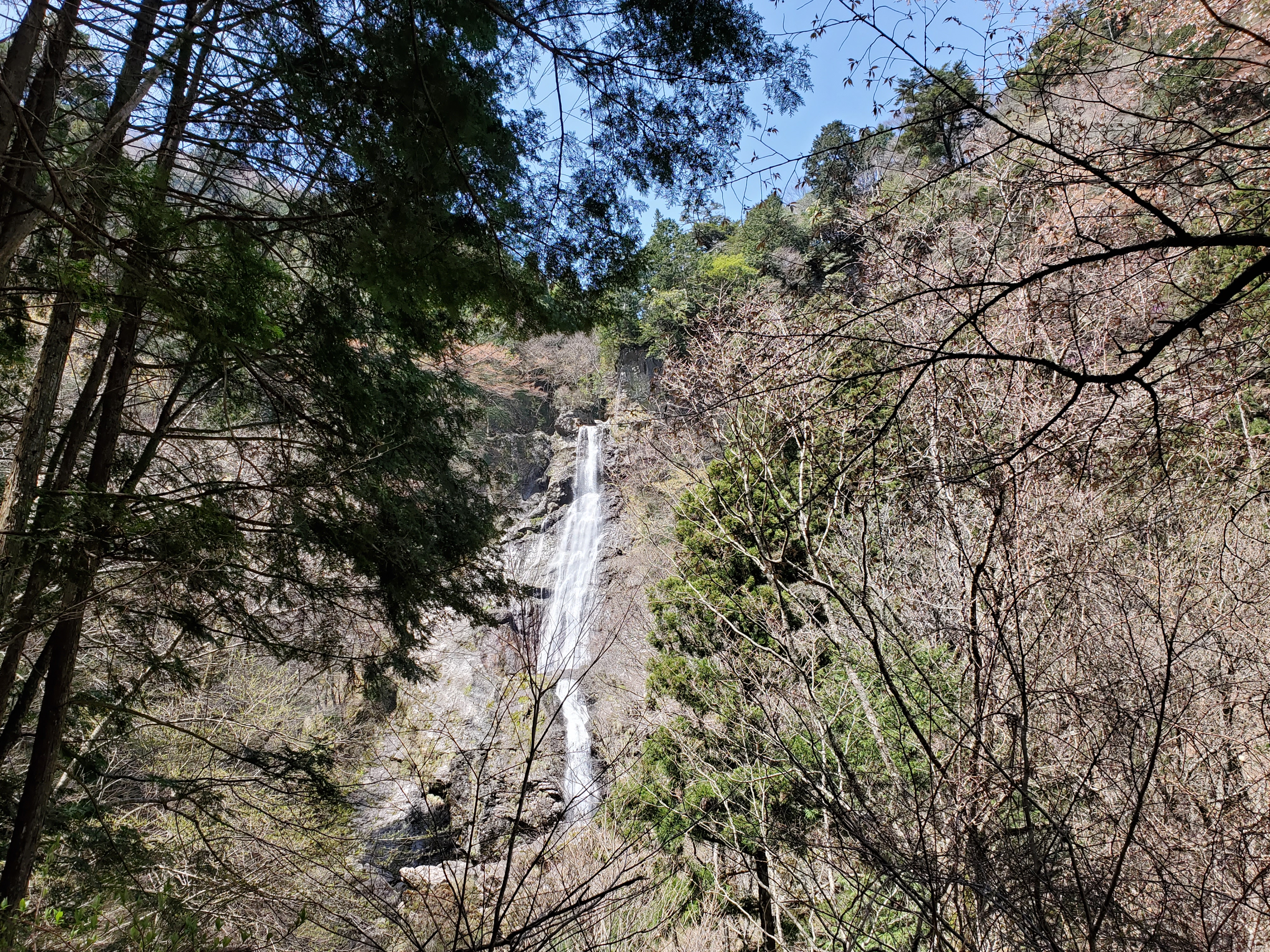 20210409_110419.jpg