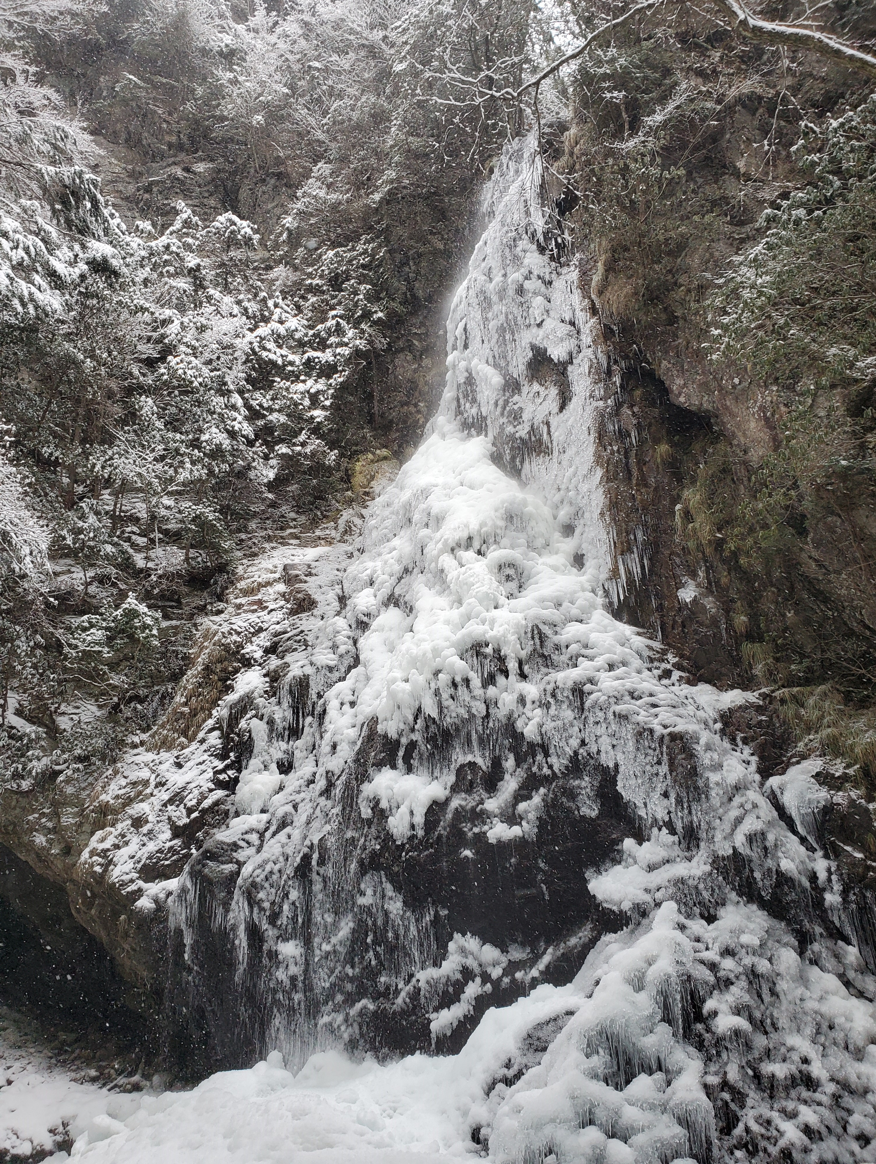 20220113_094242.jpg