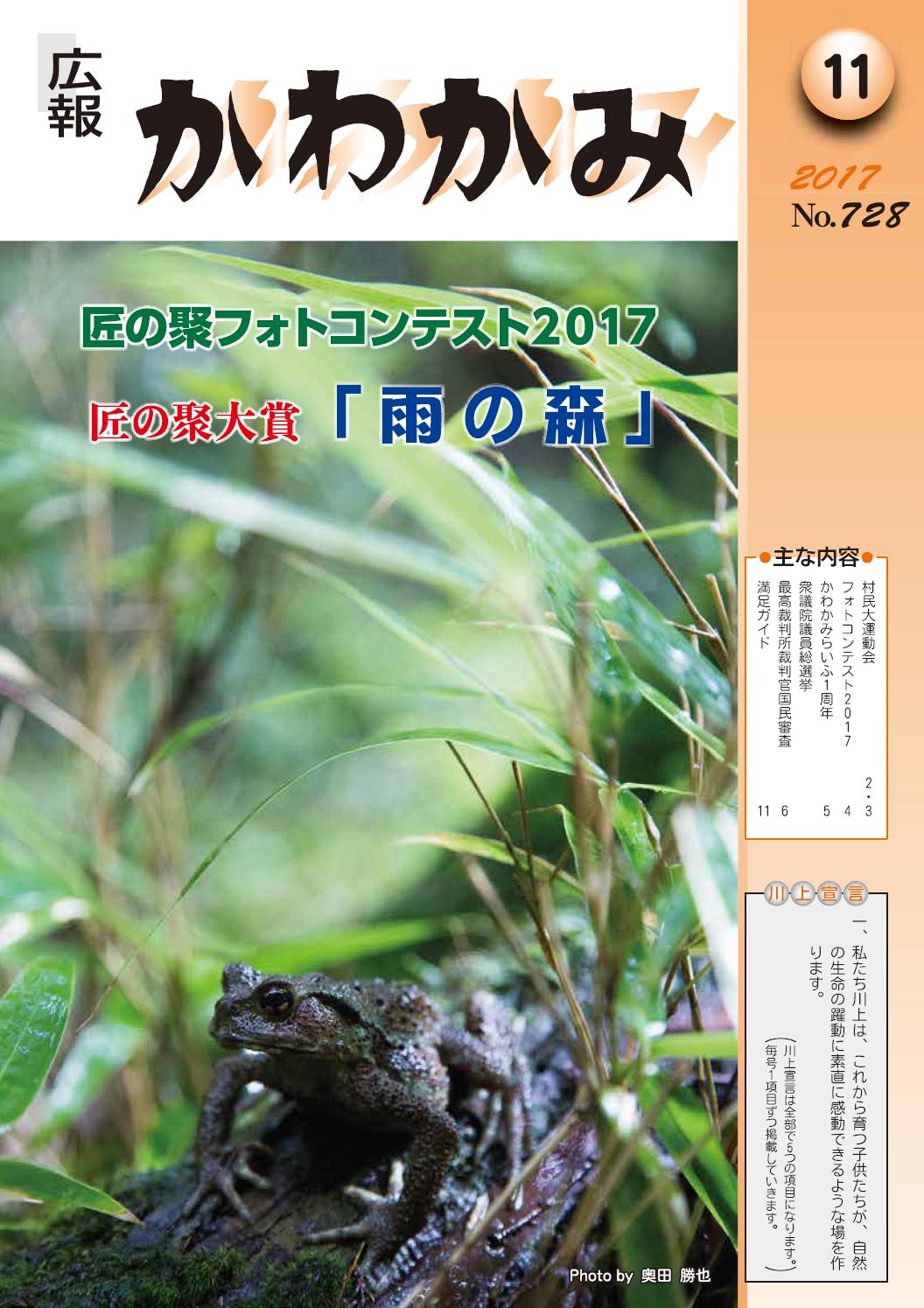 11月