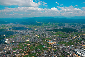 p01.jpg